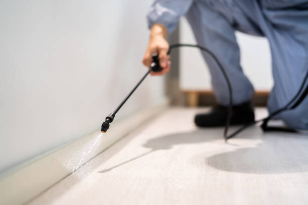 Licensed Rodent Control service in Merced County County, CA - Nex Pest Control
