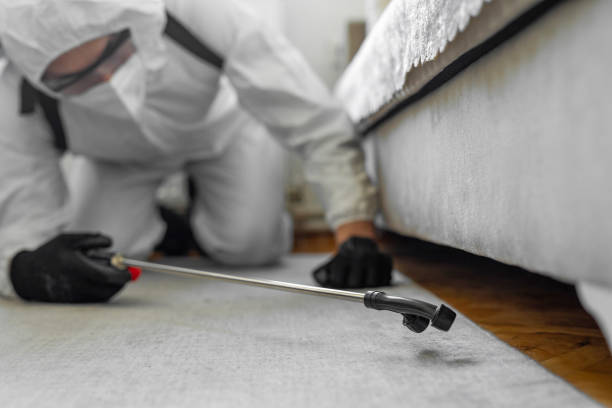 Professional Rodent Control technician working in Merced County County, CA